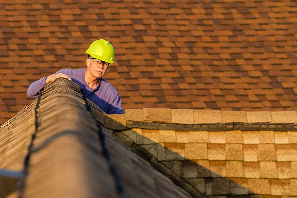 Best Roof Repair Specialists  in Prosperity, WV