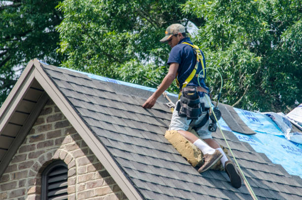 Roof Gutter Cleaning in Prosperity, WV